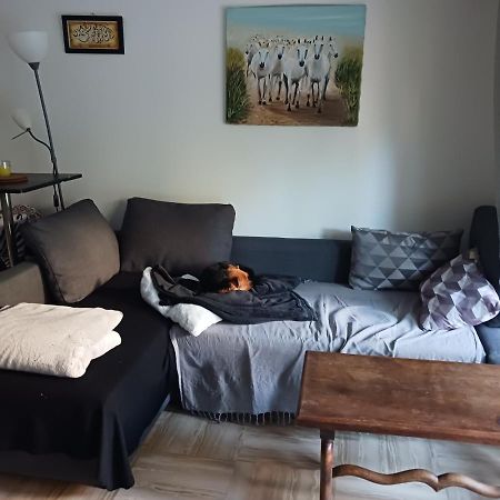 Rez-De-Jardin Grand Studio Apartment โคร-เดอ-กัญส์ ภายนอก รูปภาพ